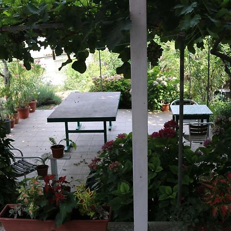 Villa Katarina Losinj Island Mali Losinj Luaran gambar