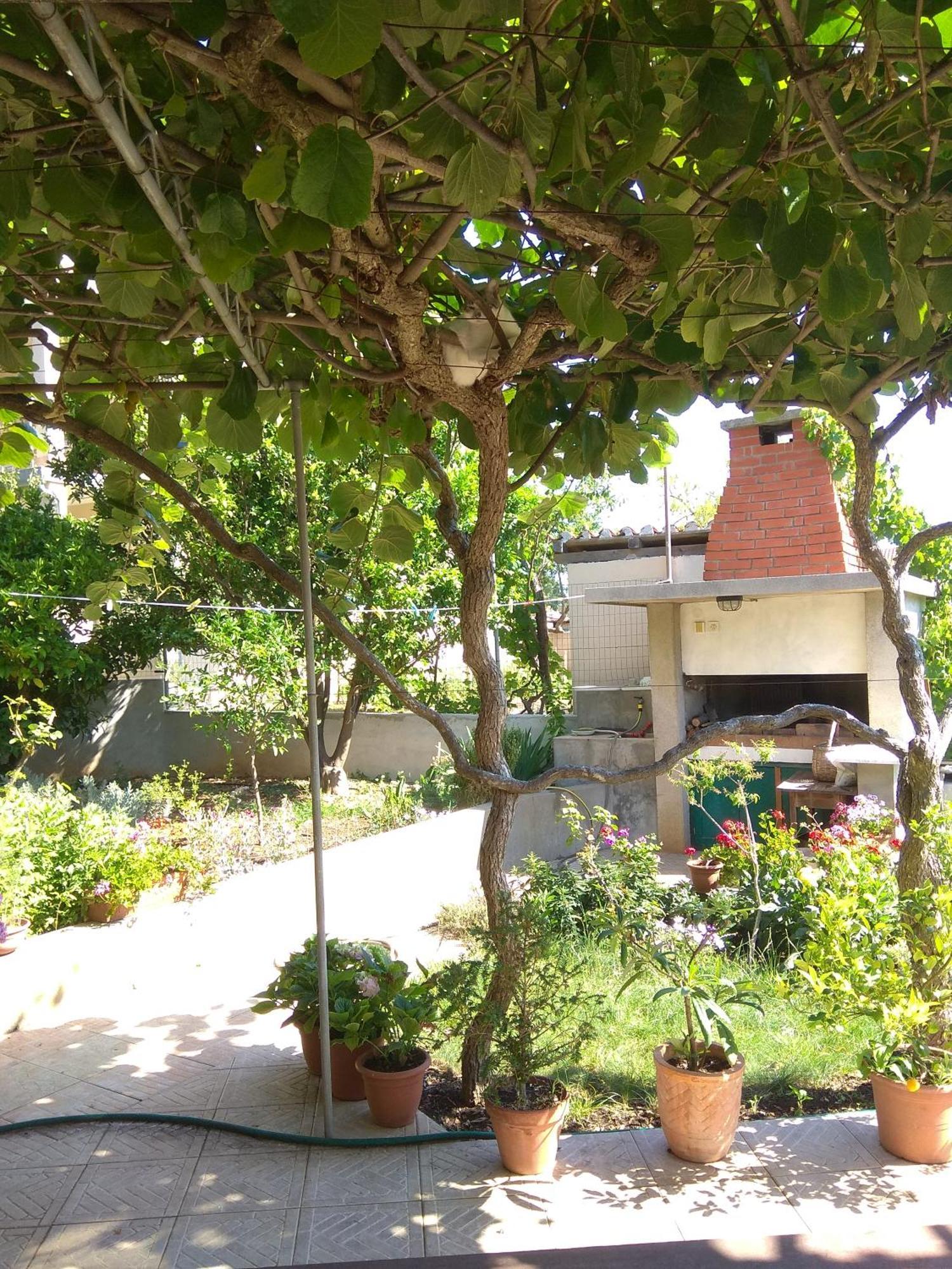 Villa Katarina Losinj Island Mali Losinj Luaran gambar