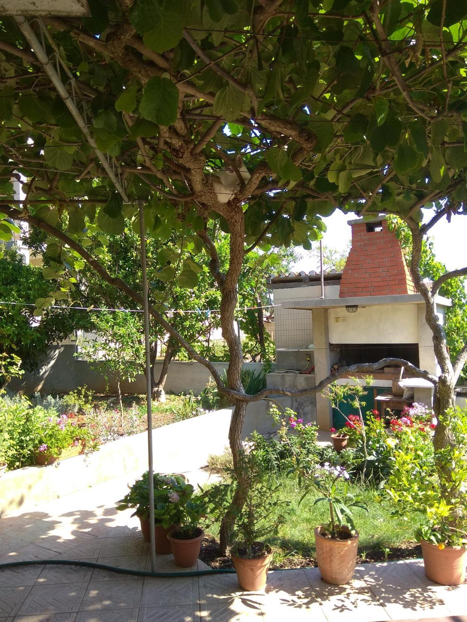 Villa Katarina Losinj Island Mali Losinj Luaran gambar